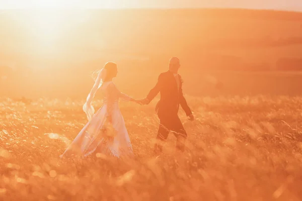 Menyasszony Vőlegény Fogják Egymás Kezét Jövőbe Tekintenek Természet Közepén Ifjú — Stock Fotó