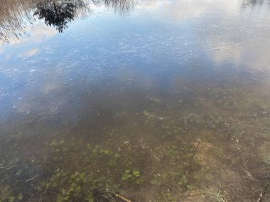 beautiful lake and river, the nature background, water, spring,