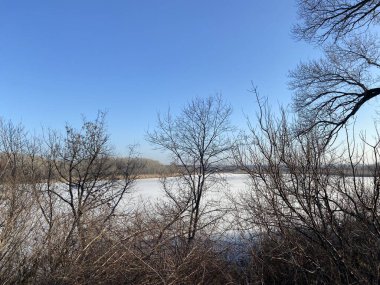 Ormanın güzel manzarası