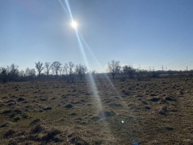 Ormanın güzel manzarası