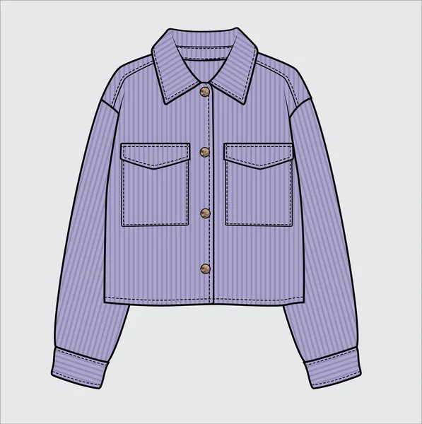 Moderní Dámské Oblečení Barevná Ilustrace Dámské Košile — Stockový vektor