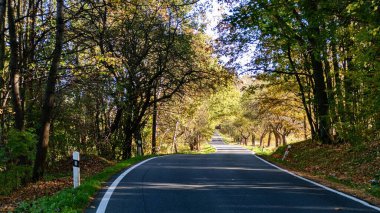 Güzel Colofrul sonbahar doğası Çeçen kırsalında ve ormanında