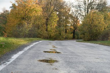 Güzel Colofrul sonbahar doğası Çeçen kırsalında ve ormanında