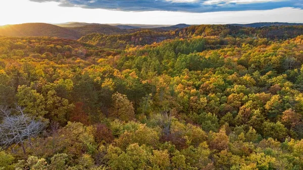 Překrásná Kolona Podzimní Přírody České Krajině Lesích — Stock fotografie