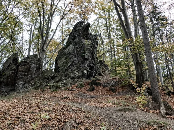 チェコの田園風景と森の中の美しい秋の自然 — ストック写真