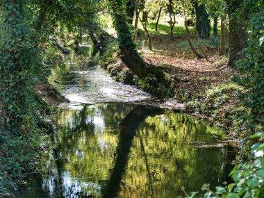 Hırvatistan 'daki milli parktaki Krka nehri çevresindeki doğa