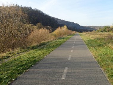 Sonbahar doğasında asfalt bir yol.