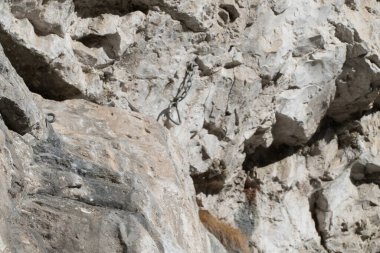 İtalya 'da dolomitlerde kaya tırmanışı yapan kireçtaşı kayalıkları