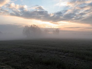 Czech kırsalında sonbaharda sisli bir sabah