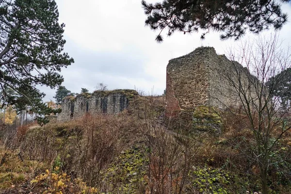 大自然中一座古城堡的废墟 — 图库照片