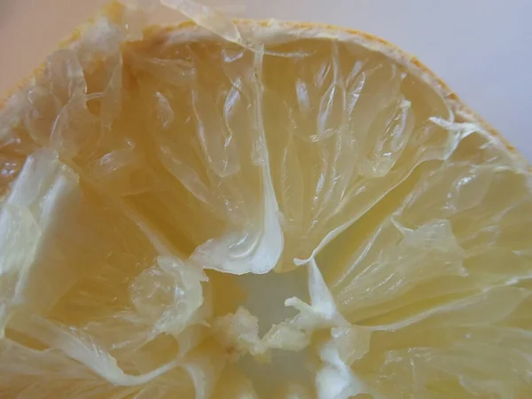 detail of yellow sour lemon on slice