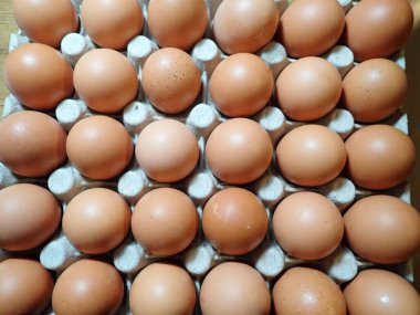 Çiğ ve çiğ yumurta tabağı.