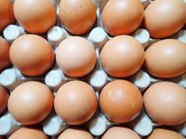 Çiğ ve çiğ yumurta tabağı.