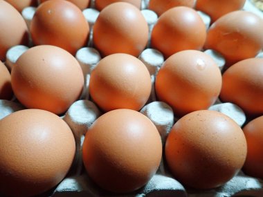 Çiğ ve çiğ yumurta tabağı.