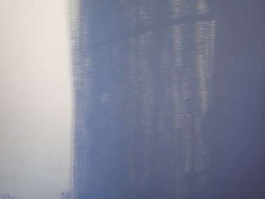 Bir yağmurun gölgesi ve çiçekler