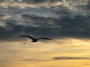 amazing beautiful sunrise morning at sardinia coast