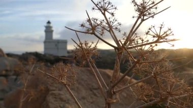 capo testa lighthouse in sardinia italy