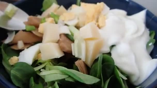 Salade Légumes Verts Frais Sains — Video