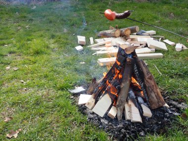 Yeşil bir çayırda bir kamp yangını başladı.