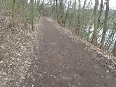 Ağaçlarla kaplı bir parkta yürüyorum.