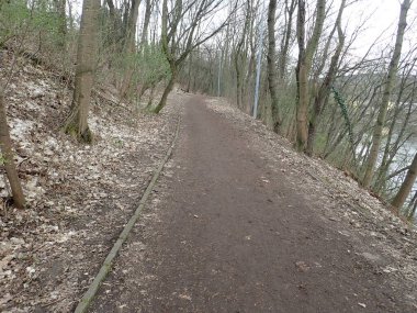 Ağaçlarla kaplı bir parkta yürüyorum.