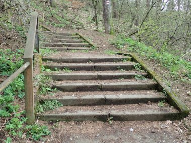 Parkın yürüyüş rotasındaki eski adımlar