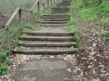 Parkın yürüyüş rotasındaki eski adımlar