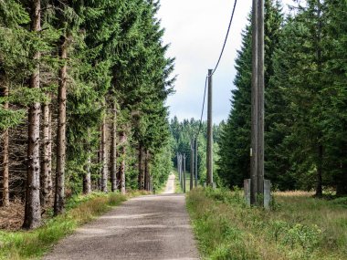 Güzel Czech dağları yaz tatilinde azgın bir şekilde boşalır.