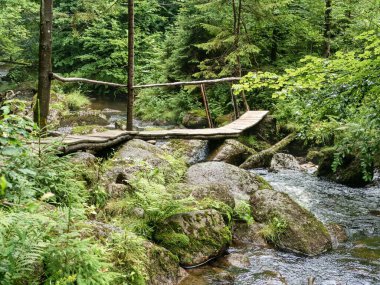 # Güzel, vahşi, saf su nehri en sisli yerde #