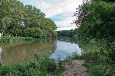 Ormanda çamurlu, saf su nehri.