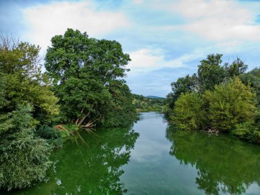 Ormanda çamurlu, saf su nehri.