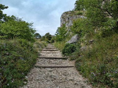 Romantik inanılmaz güzel renkli romantik sonbahar ormanı