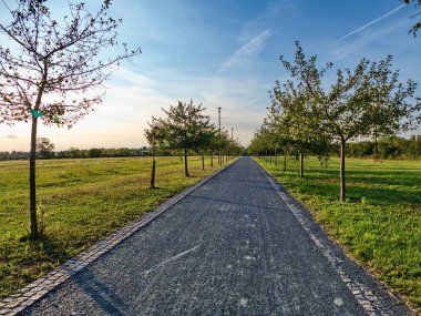 Güney Moravya manzarası Sonbaharda şarapların diyarı
