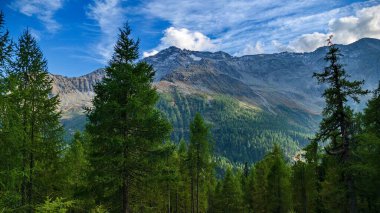 Hochalmspitze dağları Hohe tauern austria 'da sonbahar sezonunda 