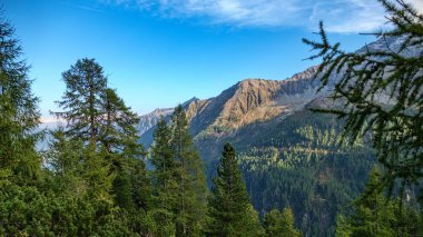 Hochalmspitze dağları Hohe tauern austria 'da sonbahar sezonunda 