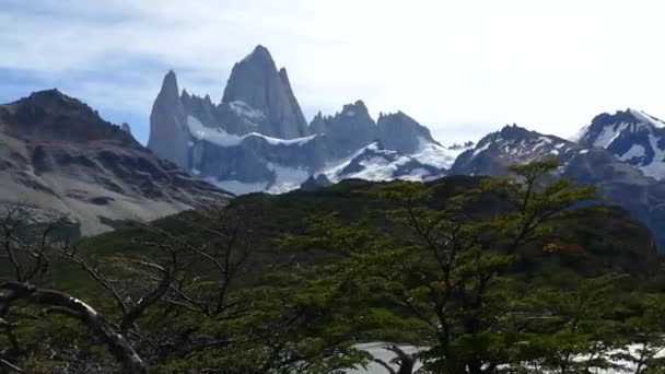 Patagonie Nationalpark Sydamerika — Stockvideo