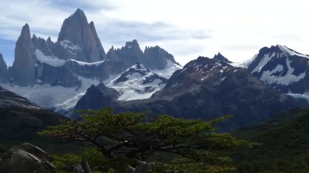 Nature Étonnante Dans Parc National Patagonie — Video