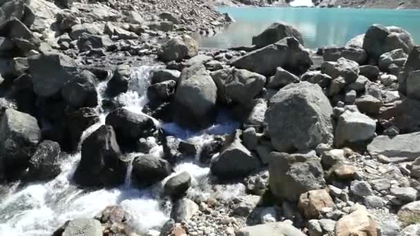 Snelle Waterval Een Patagonische Rivier — Stockvideo