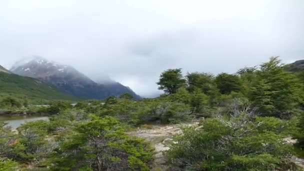 南アメリカの国立公園 — ストック動画