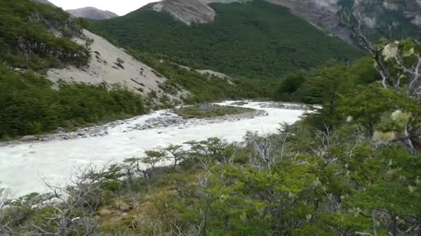 Εθνικό Πάρκο Patagonia Στη Νότια Αμερική — Αρχείο Βίντεο