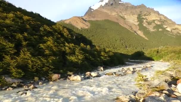 Taman Nasional Patagonia Amerika Selatan — Stok Video
