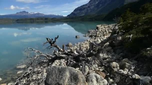 Parc National Patagonie Amérique Sud — Video