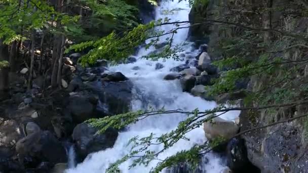 Швидкий Водоспад Річці — стокове відео