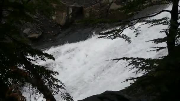 Rápida Cascada Río Patagónico — Vídeos de Stock