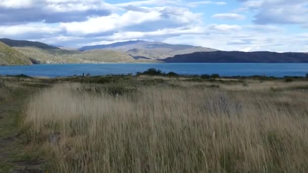 Niesamowite Przyrody Park Narodowy Patagonia Ameryka Południowa — Wideo stockowe