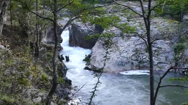 Schneller Wasserfall Auf Einem Patagonischen Fluss — Stockvideo