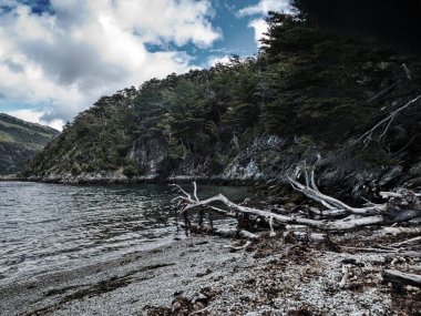 Tierra del Fuego Güney Amerika 'da inanılmaz vahşi patagonya doğası