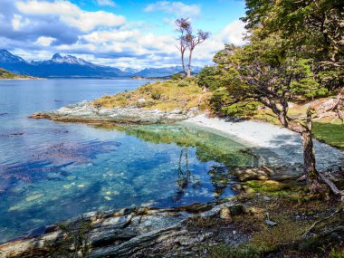 Tierra del Fuego Güney Amerika 'da inanılmaz vahşi patagonya doğası