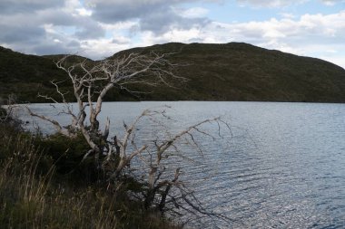 Şili patagonisi Güney Amerika 'daki inanılmaz ünlü Torres del Paine Ulusal Parkı