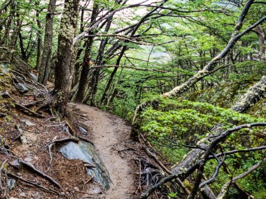 Şili patagonisi Güney Amerika 'daki inanılmaz ünlü Torres del Paine Ulusal Parkı